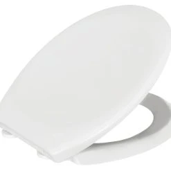 Bemis Ferno Soft-Close With Quick-Release Toilet Seat Thermoset Plastic White