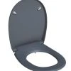 Bemis Click & Clean Classic Soft-Close With Quick-Release Toilet Seat Thermoset Plastic Grey