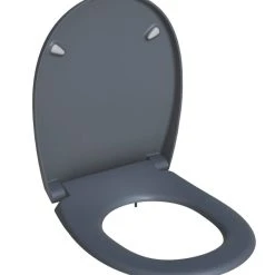 Bemis Click & Clean Classic Soft-Close With Quick-Release Toilet Seat Thermoset Plastic Grey